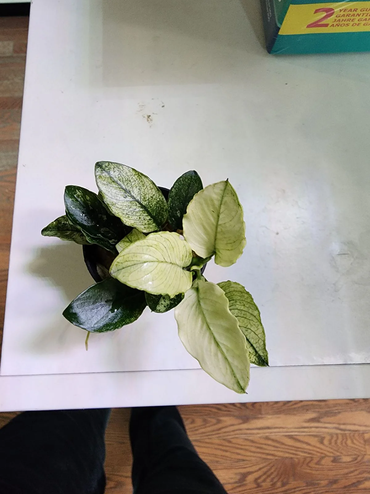 Product image 4